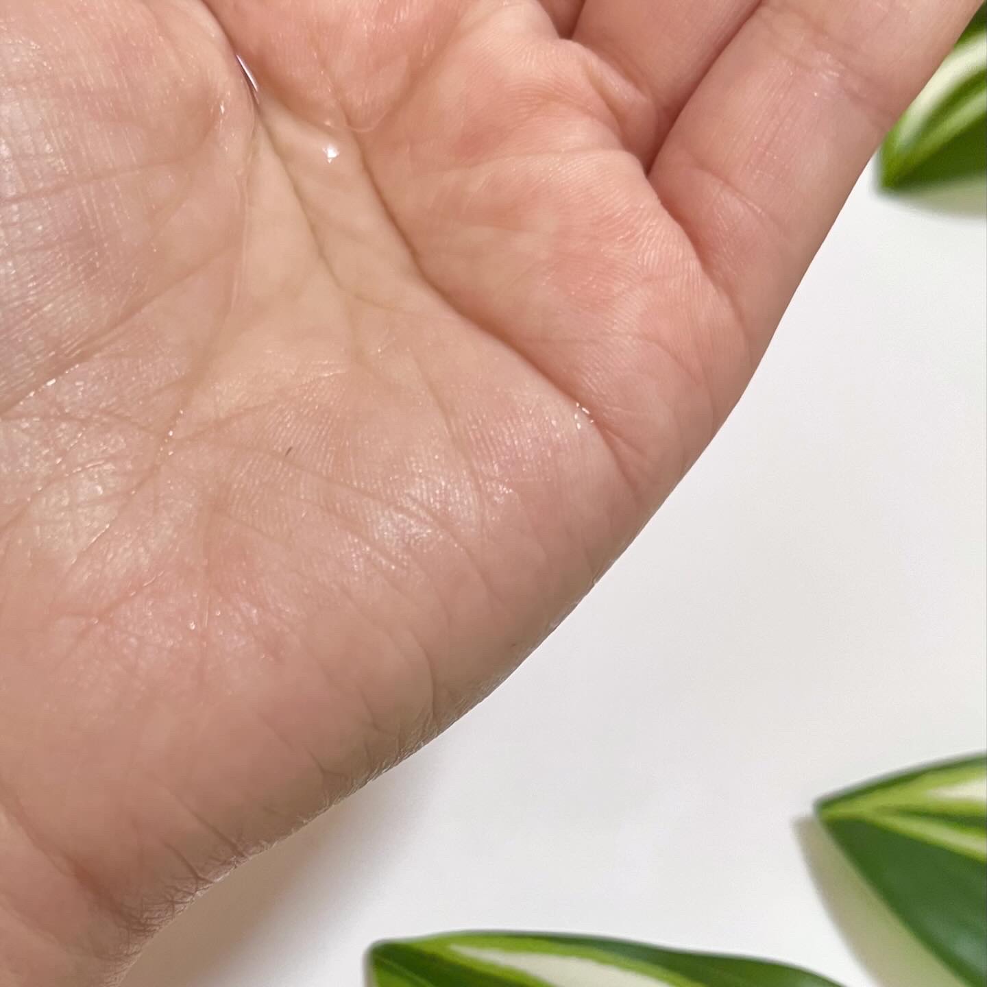 ホリーディア モイストディープアクア/HOLIDEA/化粧水を使ったクチコミ（3枚目）