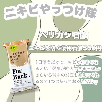 ティーツリーウォーター/ラッシュ/ミスト状化粧水を使ったクチコミ(3枚目)