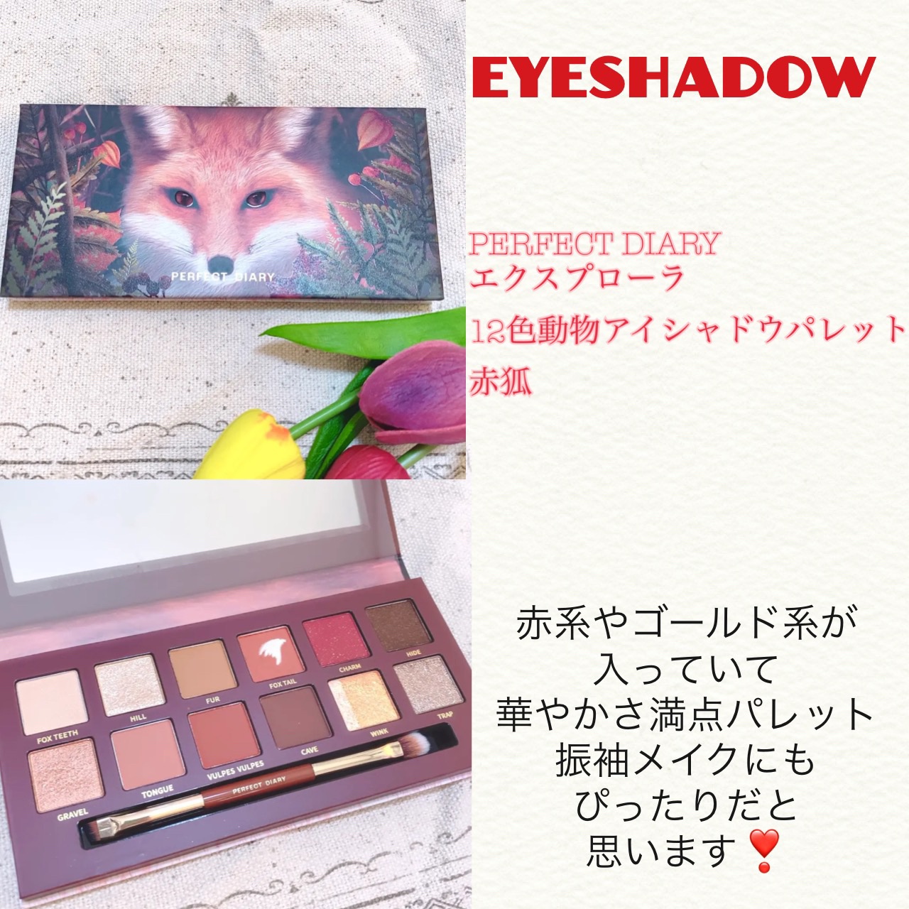 エクスプローラ12色 動物アイシャドウパレット/PERFECT DIARY/アイシャドウパレットを使ったクチコミ（3枚目）