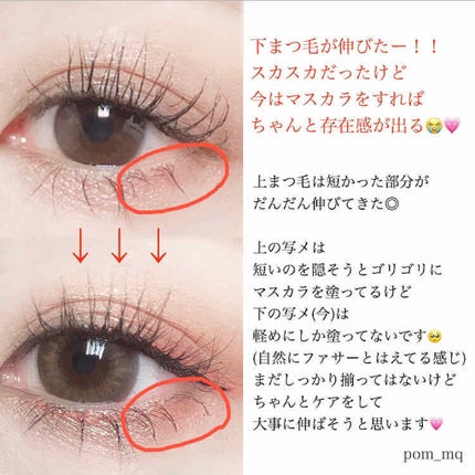 スカルプD ボーテ ピュアフリーアイラッシュセラム/アンファー(スカルプD)/まつげ美容液を使ったクチコミ(4枚目)