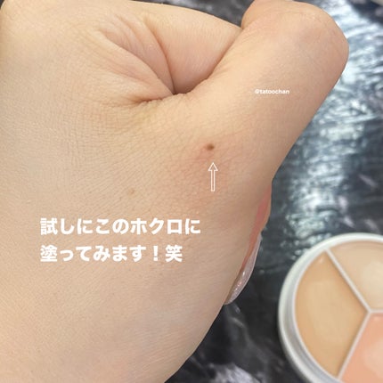 カバーアッププロコンシーラー/TFIT/パレットコンシーラーを使ったクチコミ(5枚目)