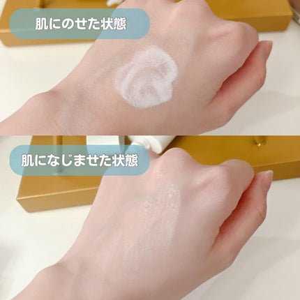 潤浸保湿 ベースミルク /キュレル/日焼け止めミルクを使ったクチコミ(3枚目)