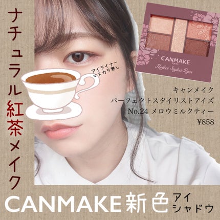 パーフェクトスタイリストアイズ/キャンメイク/アイシャドウパレットを使ったクチコミ(1枚目)