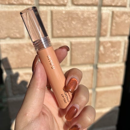 ウォーターリフレクティングリップティント R01 一目惚れアマレットジンジャー/INTO U/リップティントの画像