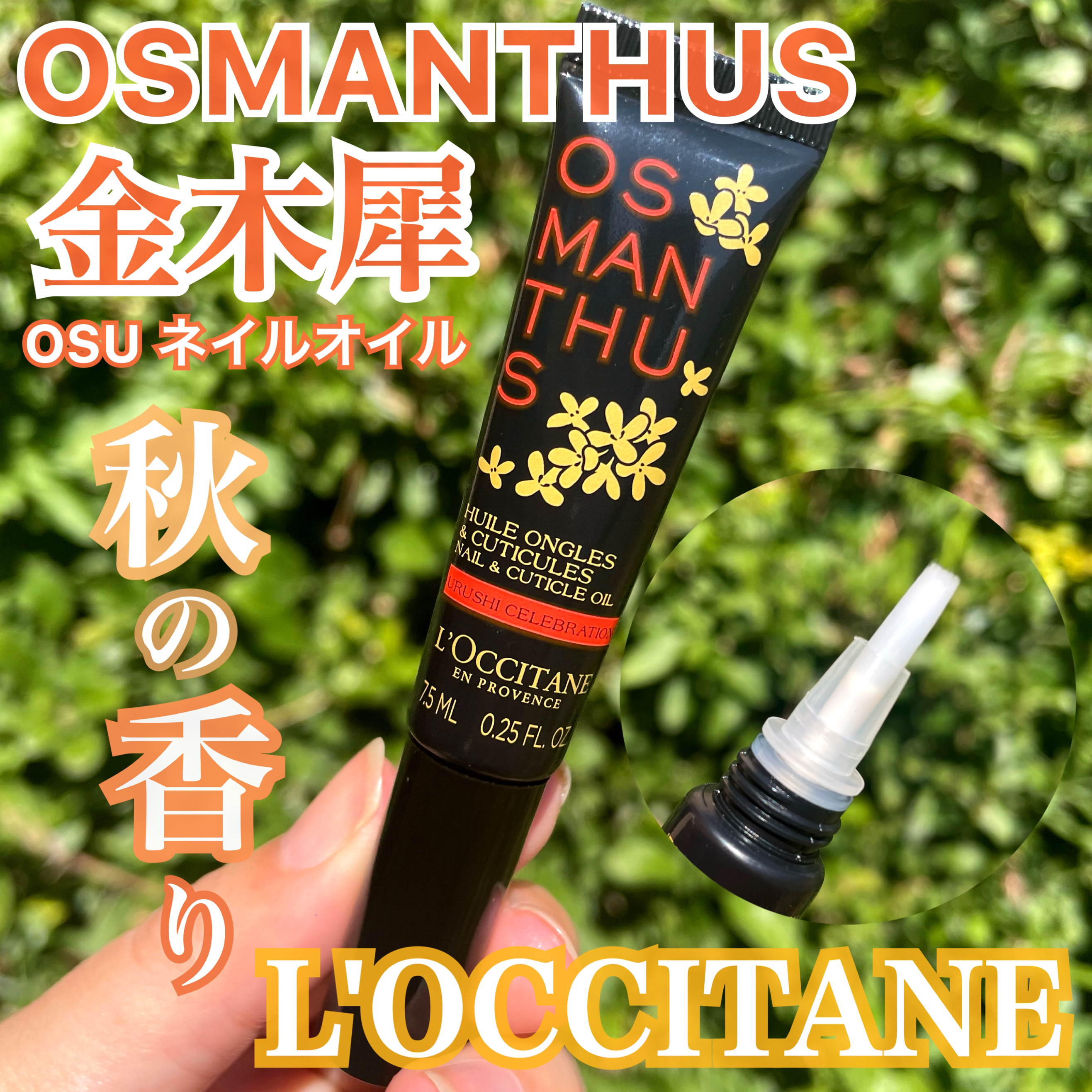 オスマンサス ネイルオイル ウルシエディション/L'OCCITANE/ネイルオイル・トリートメントを使ったクチコミ（1枚目）