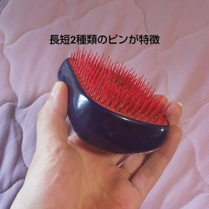 コンパクトスタイラー/TANGLE TEEZER/ヘアブラシを使ったクチコミ(2枚目)