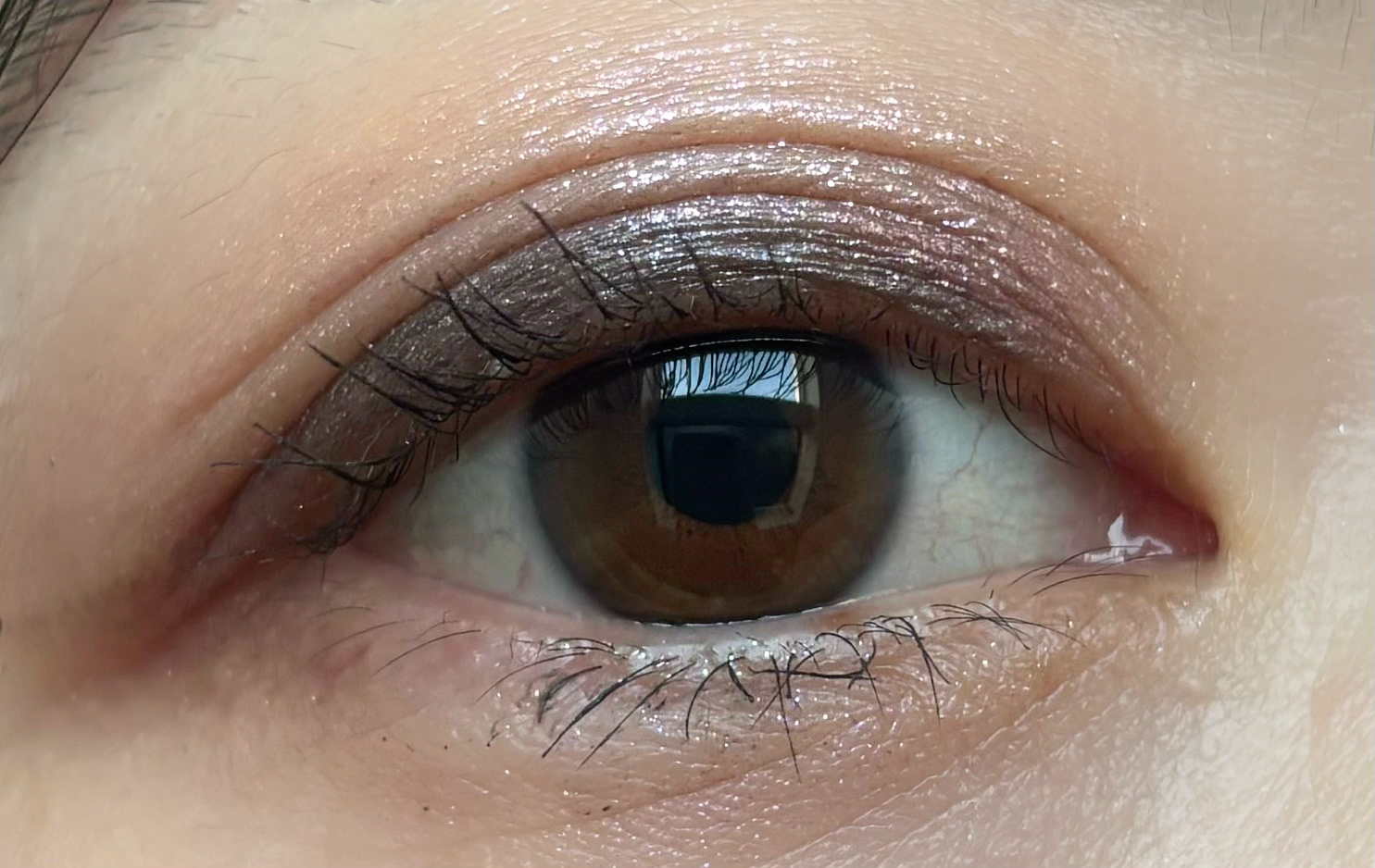 【旧】ディオールショウ サンク クルール（プラン ドゥ パリ コレクション限定品）/Dior/アイシャドウを使ったクチコミ（3枚目）