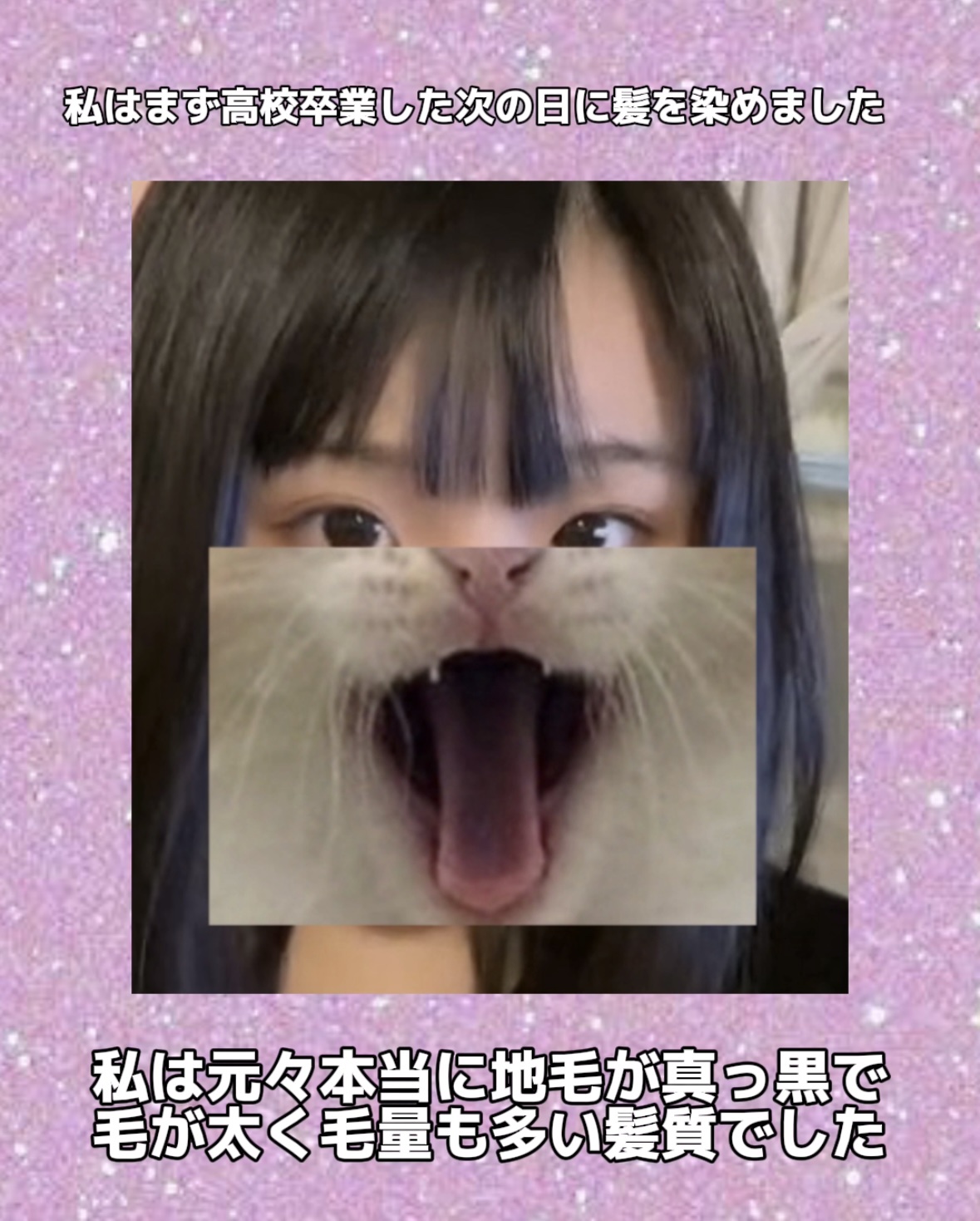 コンパクトスタイラー/TANGLE TEEZER/ヘアブラシを使ったクチコミ（2枚目）