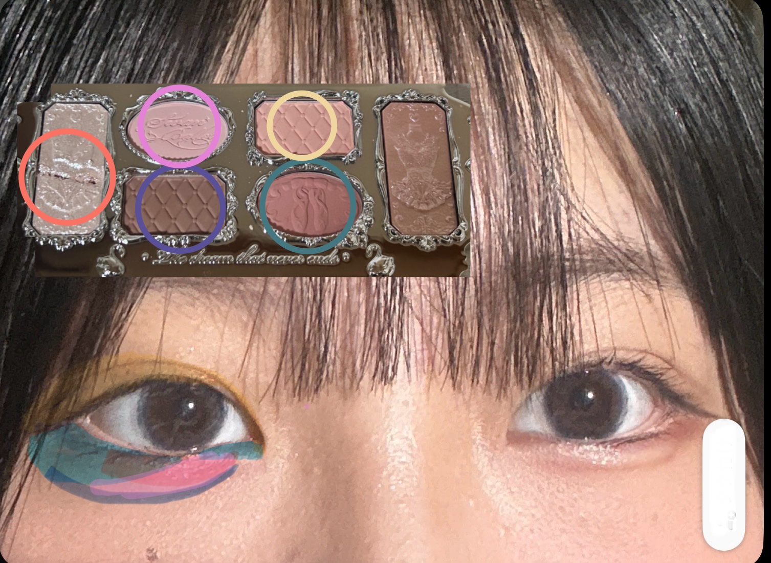 FlowerKnows フラワーノーズスワンバレエシリーズ アイシャドウパレットのクチコミ「【今年のベスコス絶対入るビジュ大優勝コスメ】
思わずパケ買いしてしまうほど可愛すぎたコスメを紹.....」（3枚目）