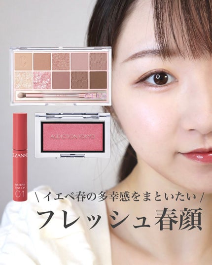 プロ アイ パレット/CLIO/アイシャドウパレットを使ったクチコミ(1枚目)