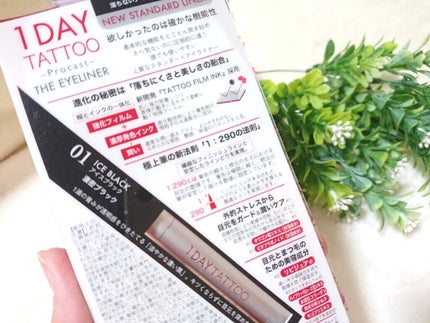 1DAY TATTOO プロキャスト ザ・アイライナー/K-パレット/リキッドアイライナーを使ったクチコミ(4枚目)