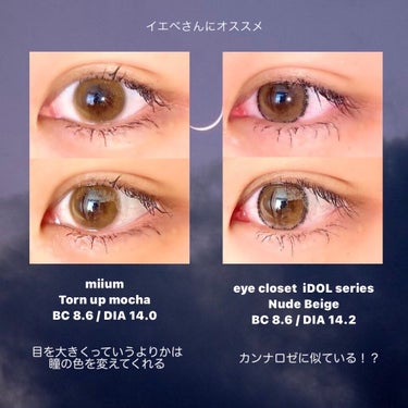 eye closet iDOL Series CANNA ROSE 1day/EYE CLOSET/ワンデー（１DAY）カラコンを使ったクチコミ（3枚目）