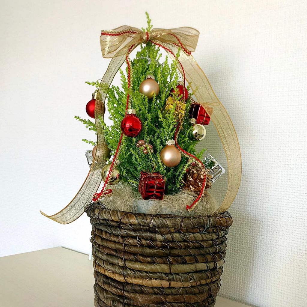 gumi【フォロバします♡】 on LIPS 「⭐️メリークリスマスイヴ🎅⭐️✼••┈┈••✼••┈┈••✼•..」(1枚目)