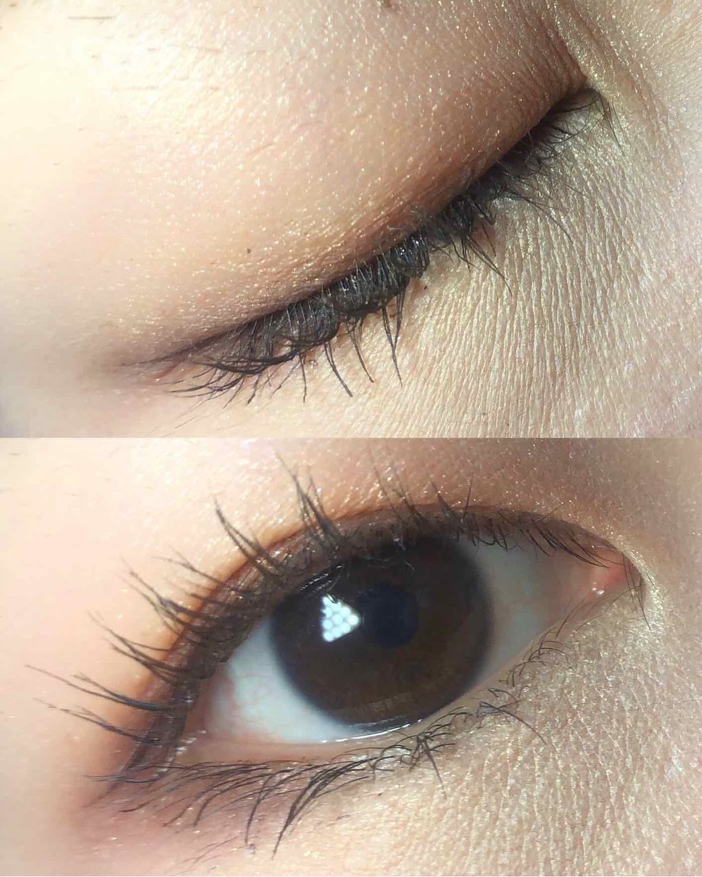 トーンアップアイシャドウ/CEZANNE/アイシャドウパレットを使ったクチコミ（2枚目）