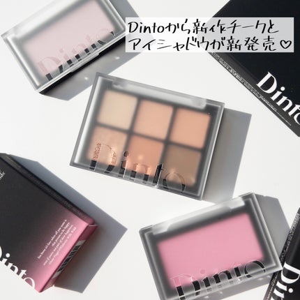 ブラーフィニシュシャドウパレット/Dinto/アイシャドウパレットを使ったクチコミ(2枚目)