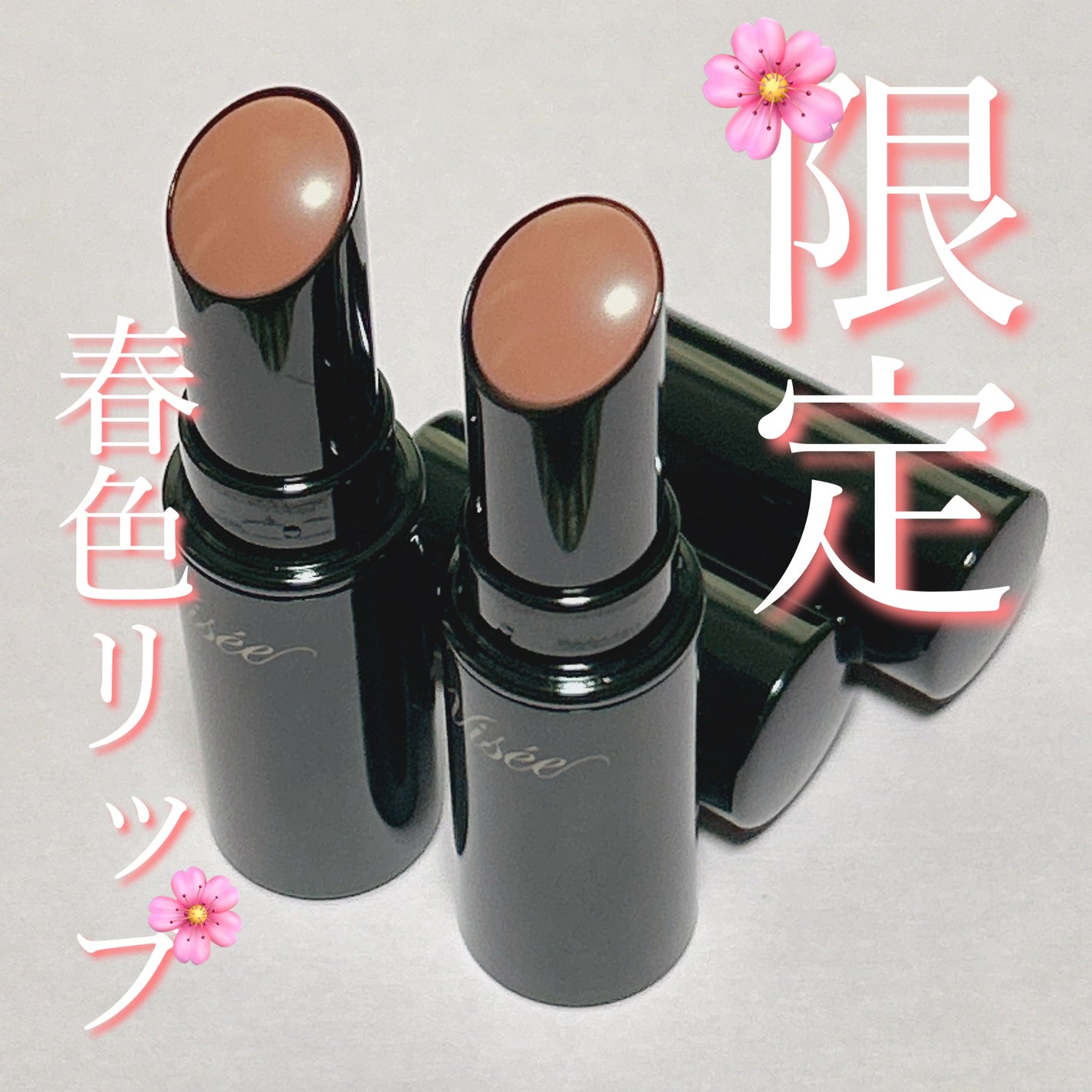 ネンマクフェイク ルージュ/Visée/口紅を使ったクチコミ(1枚目)