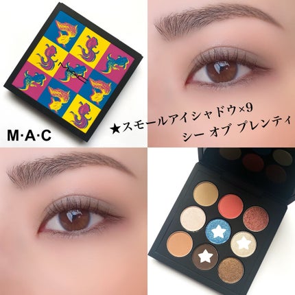 スモール アイシャドウ×9/M・A・C/アイシャドウパレットを使ったクチコミ(1枚目)