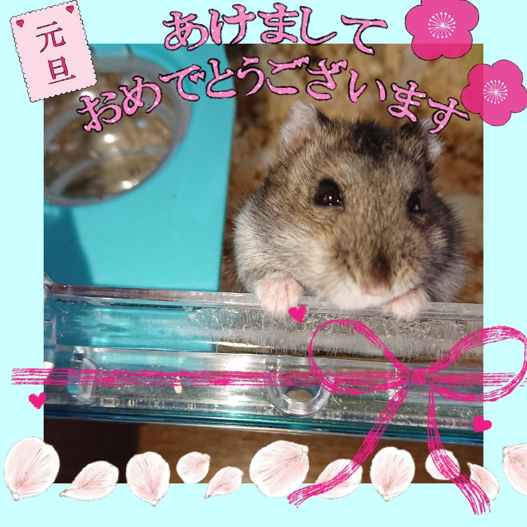 シャドーカスタマイズ/MAJOLICA MAJORCA/単色アイシャドウを使ったクチコミ(1枚目)