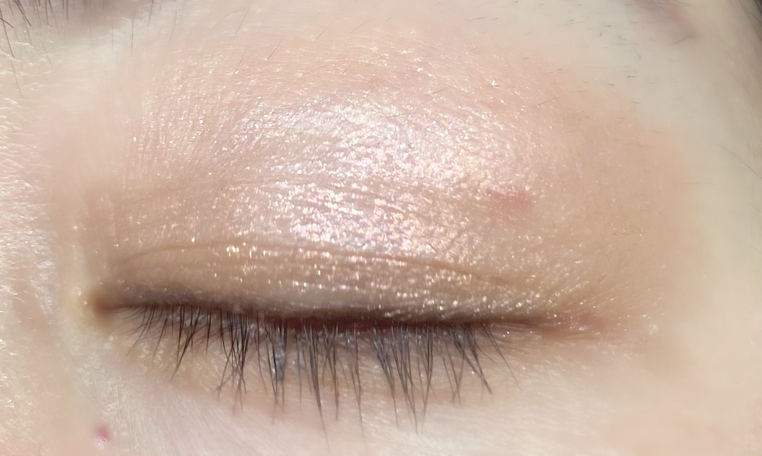 シングルアイシャドウ/Natasha Denona/単色アイシャドウを使ったクチコミ（3枚目）