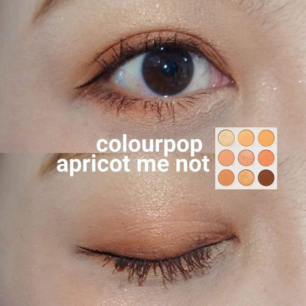 アプリコット ミー ノット/ColourPop/アイシャドウパレットを使ったクチコミ(1枚目)