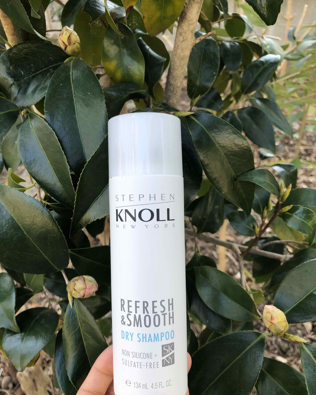 ドライ シャンプー N/スティーブンノル ニューヨーク/ドライシャンプーを使ったクチコミ(1枚目)