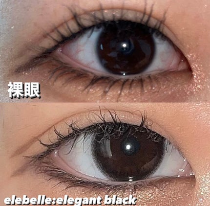 1DAY Refrear elebelle/Refrear/ワンデー(1DAY)カラコンを使ったクチコミ(3枚目)