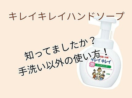 薬用泡ハンドソープ/キレイキレイ/ハンドソープを使ったクチコミ(1枚目)