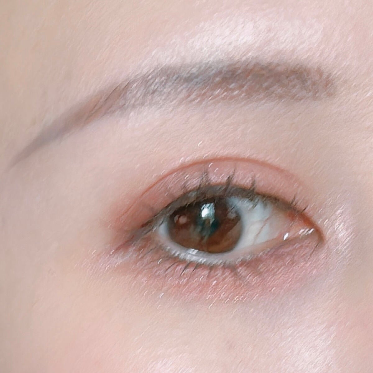 エテュセ アイエディション(ブロウマスカラ)/ettusais/眉マスカラを使ったクチコミ(5枚目)