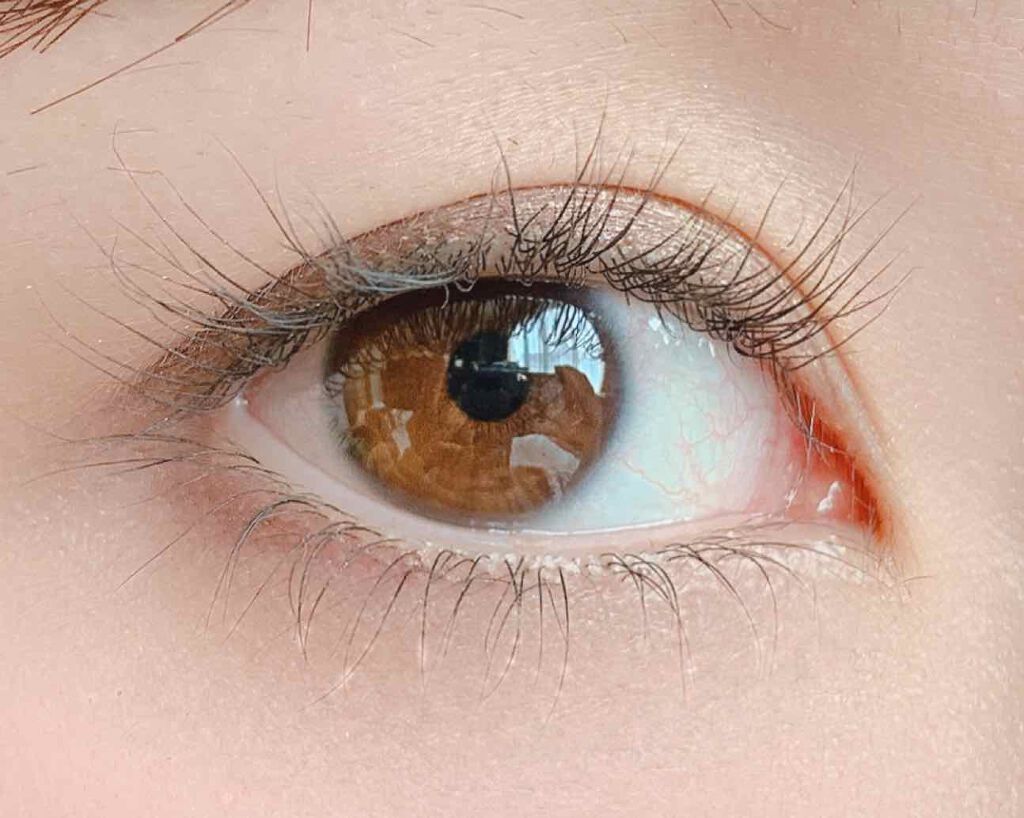 EMAKED(エマーキット)/水橋保寿堂製薬/まつげ美容液を使ったクチコミ(2枚目)