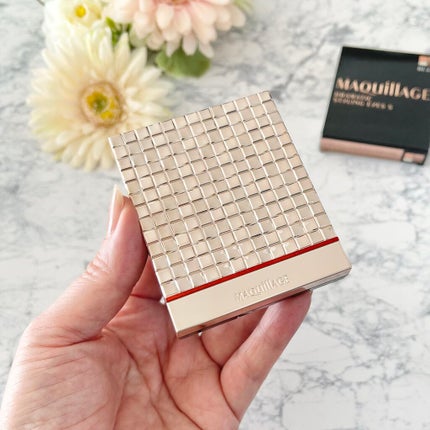 ドラマティックスタイリングアイズS/マキアージュ/アイシャドウパレットを使ったクチコミ(2枚目)