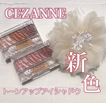 トーンアップアイシャドウ/CEZANNE/アイシャドウパレットを使ったクチコミ（1枚目）