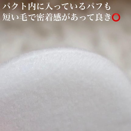 ヴィーガンビタフィルターパウダー 01 CLEAR /perse/ルースパウダーの画像