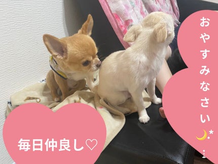 エアリーシートマスク キュウリ/MISSHA/シートマスク・パックの画像