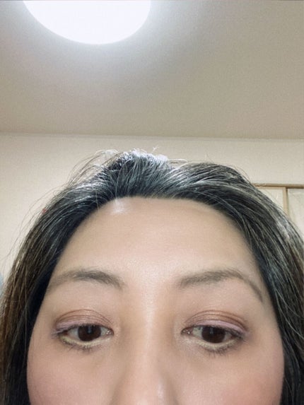 アンティークパステル ライナー/Visée/リキッドアイライナーを使ったクチコミ(4枚目)