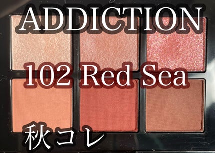 コンパクトアディクション センス オブ クラリティ/ADDICTION/アイシャドウパレットを使ったクチコミ(1枚目)