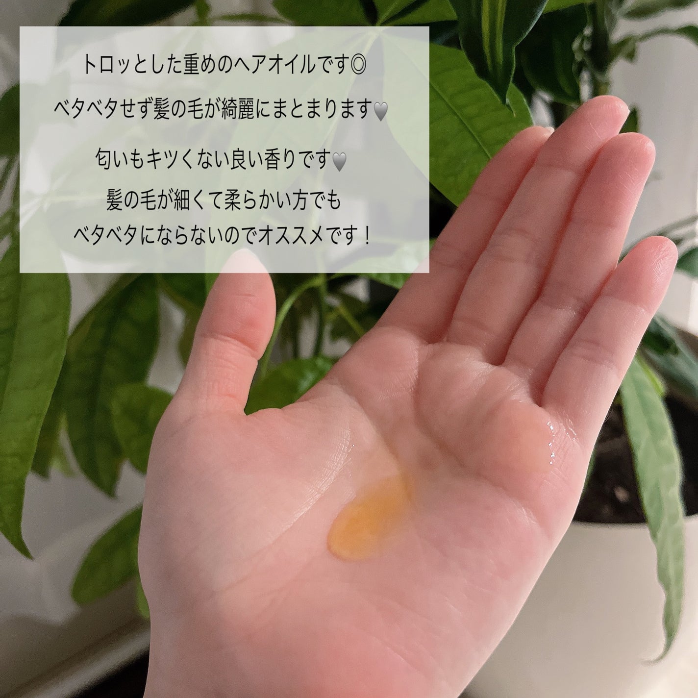 モロッカンオイル トリートメント/モロッカンオイル/ヘアオイルを使ったクチコミ(2枚目)