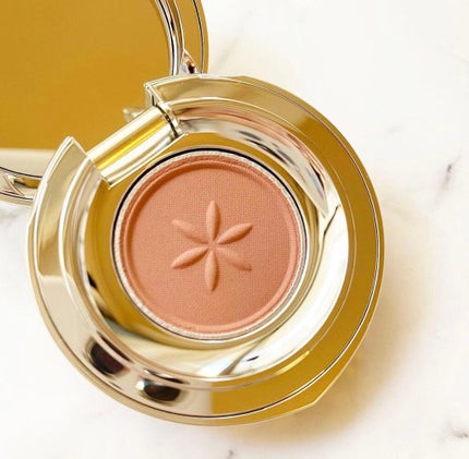 AQ アイシャドウ/DECORTÉ/単色アイシャドウを使ったクチコミ(2枚目)