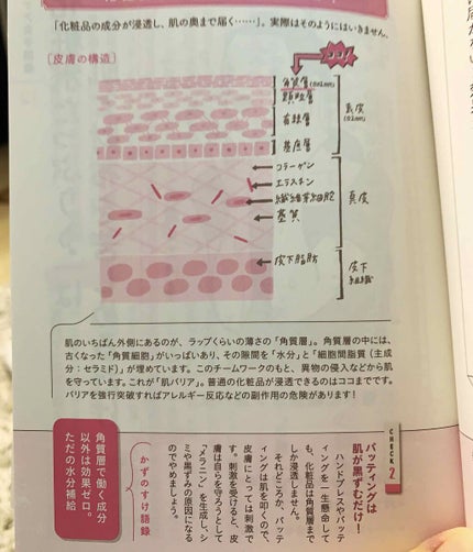 オトナ女子のための美肌図鑑/ワニブックス/書籍を使ったクチコミ(2枚目)