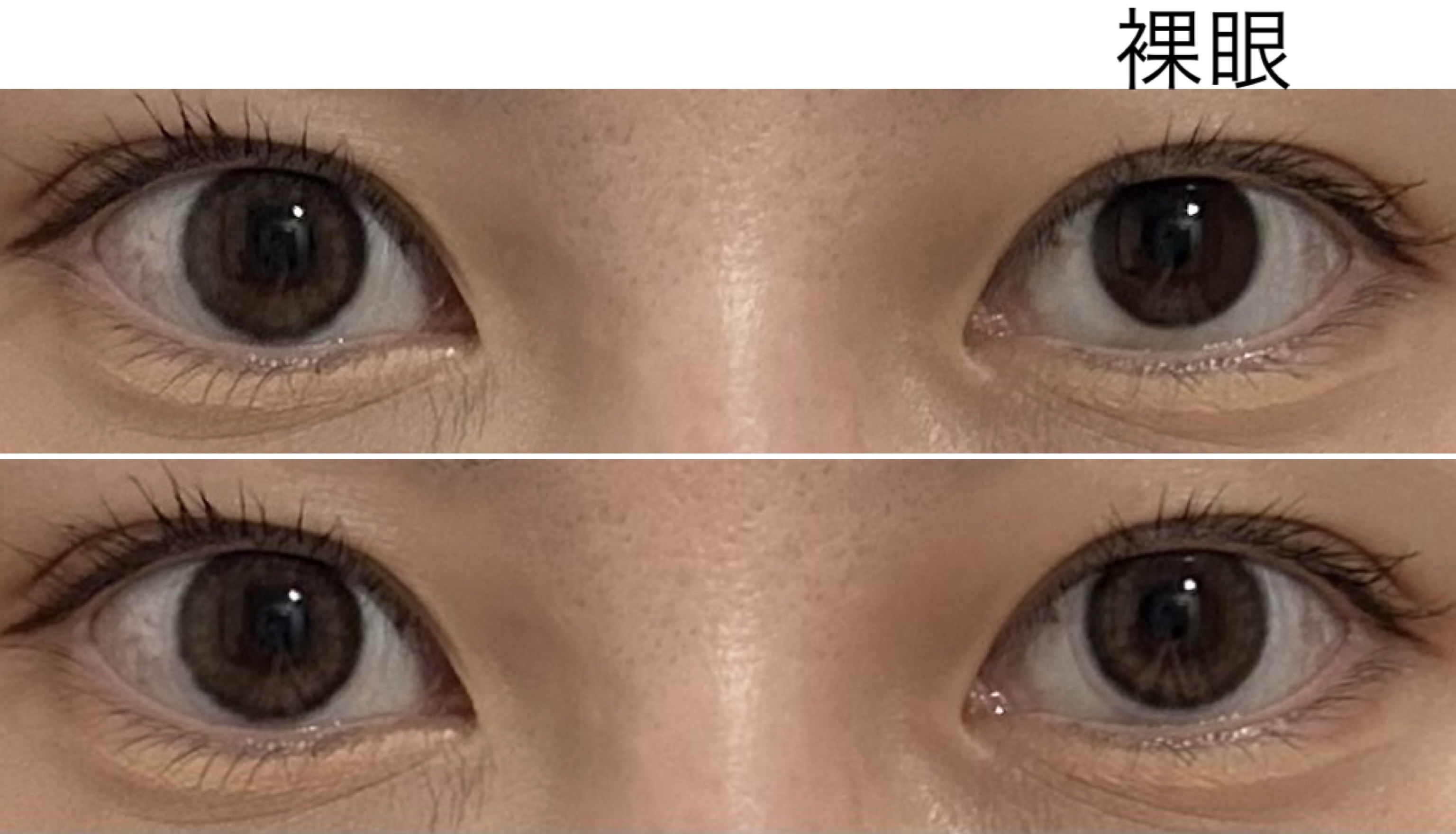 prismel 1day/Prismel/ワンデー（１DAY）カラコンを使ったクチコミ（3枚目）