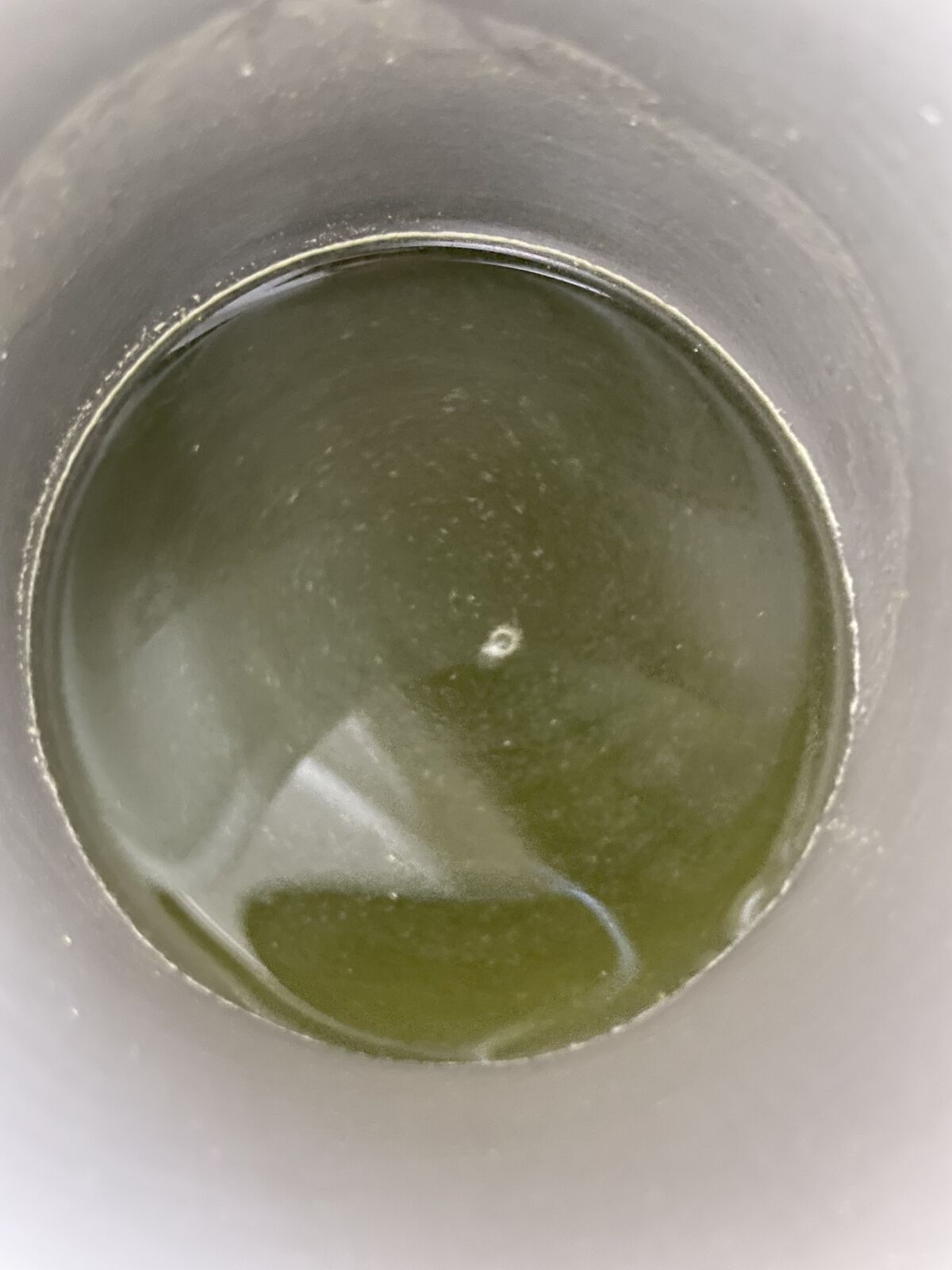 恵みの麹青汁/爽健らぼ/青汁を使ったクチコミ（3枚目）