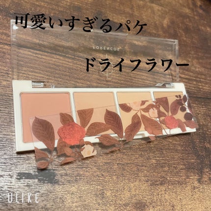 ベアシャドウパレット/フォレンコス/アイシャドウパレットを使ったクチコミ(2枚目)