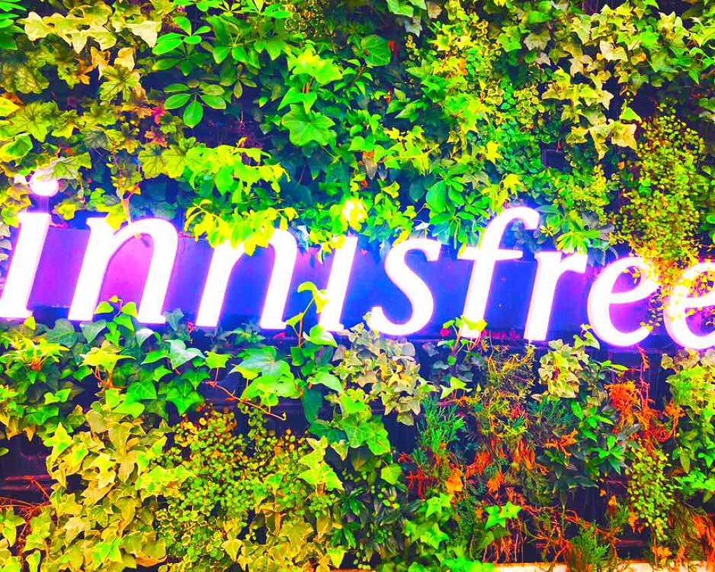 ノーセバム ブラープライマー/innisfree/化粧下地を使ったクチコミ(3枚目)