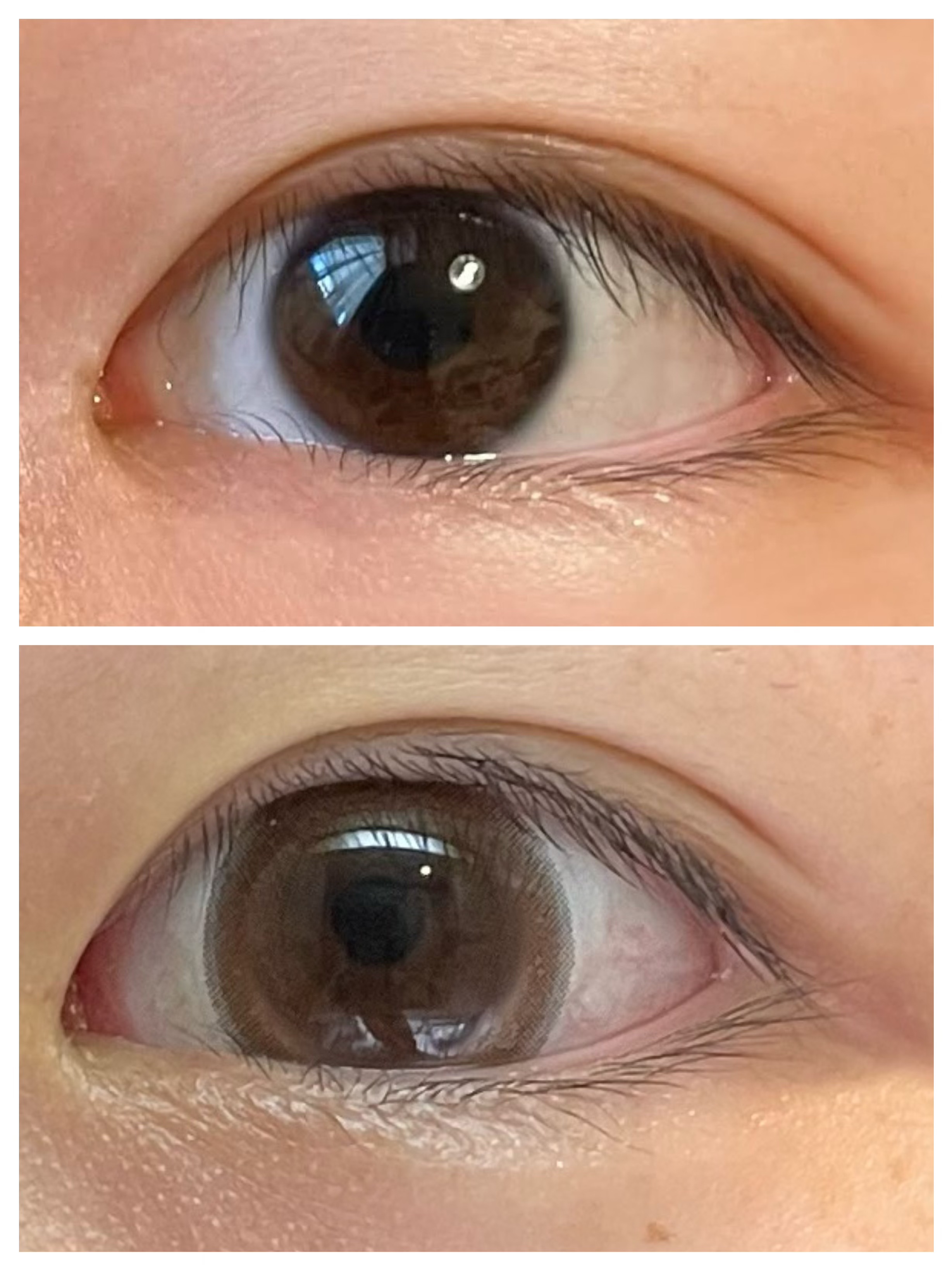 1-DAY Refrear dolemi チュールベージュ/Refrear/ワンデー（１DAY）カラコンを使ったクチコミ（2枚目）