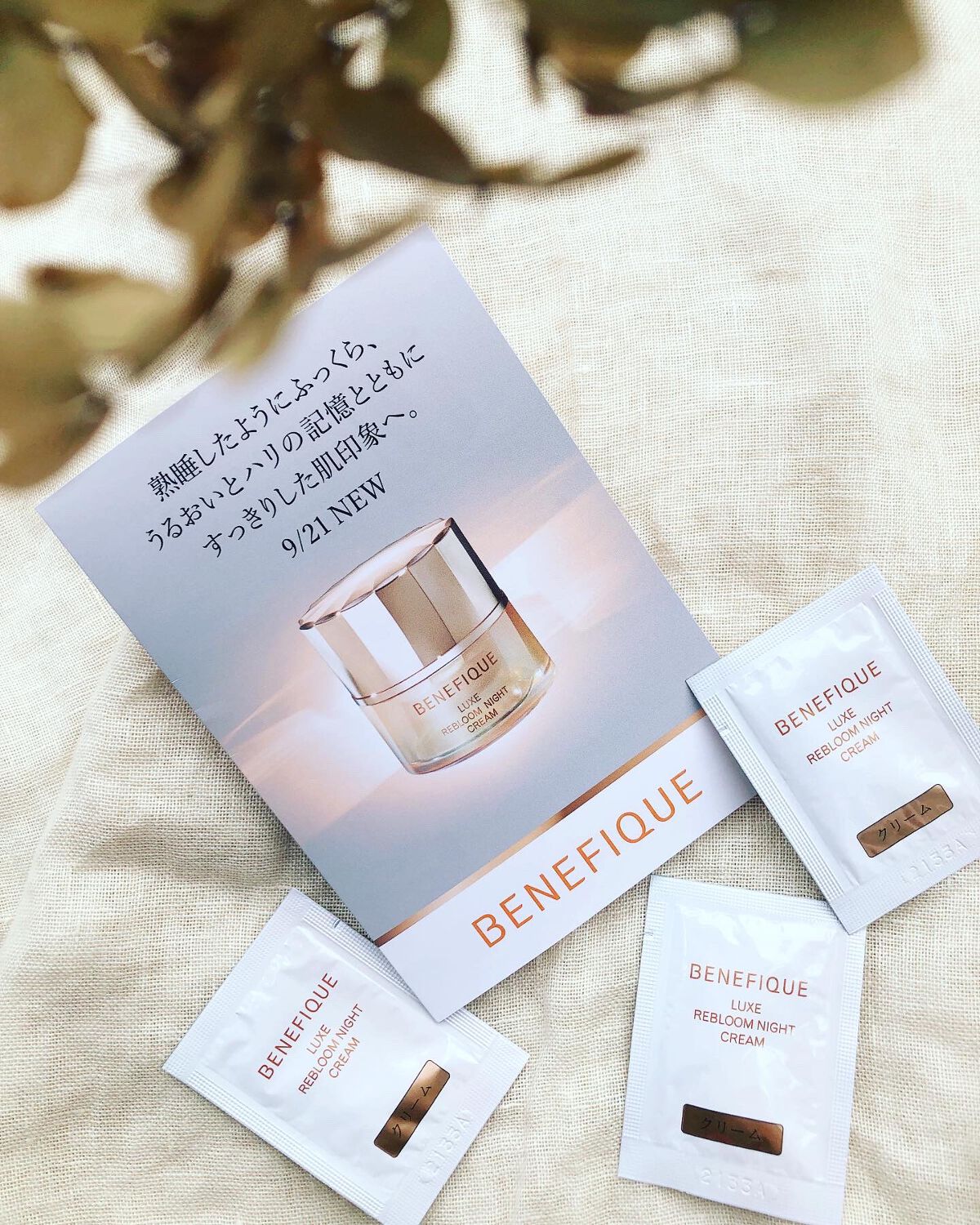 リュクス リブルームナイトクリーム 本体 40g/BENEFIQUE/フェイスクリームを使ったクチコミ（1枚目）