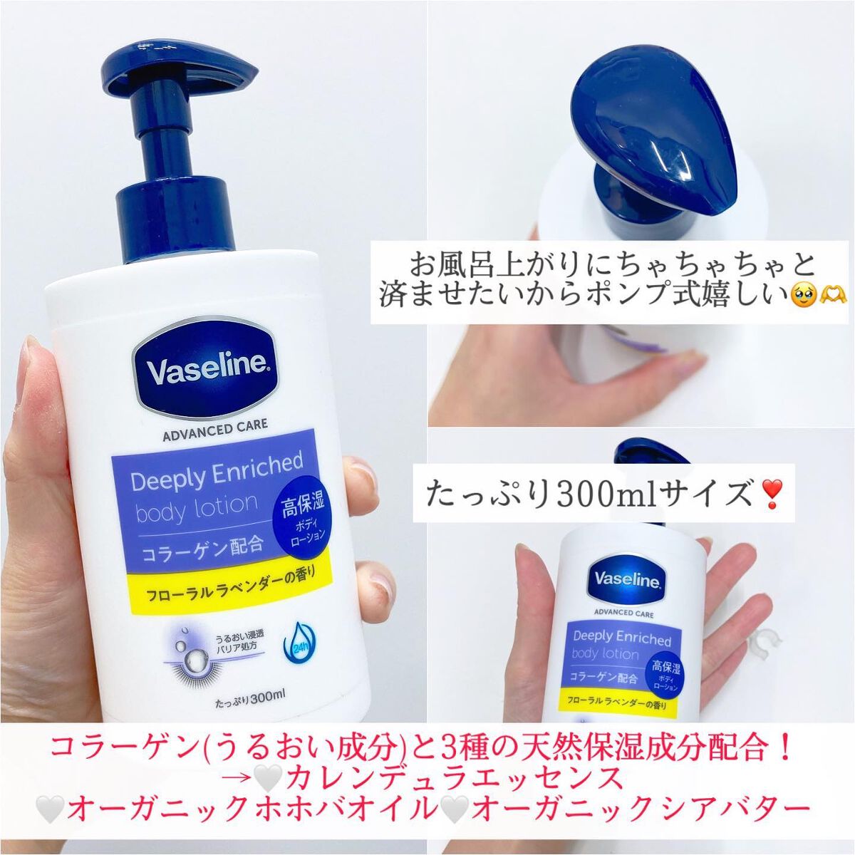 ãã£ãŒããªãŒãšã³ãªããã ããã£ããŒã·ã§ã³ ãããŒã©ã«ã©ãã³ããŒã®éŠã/ãŽã¡ã»ãªã³/ããã£ããŒã·ã§ã³ã䜿ã£ãã¯ãã³ãïŒ3æç®ïŒ