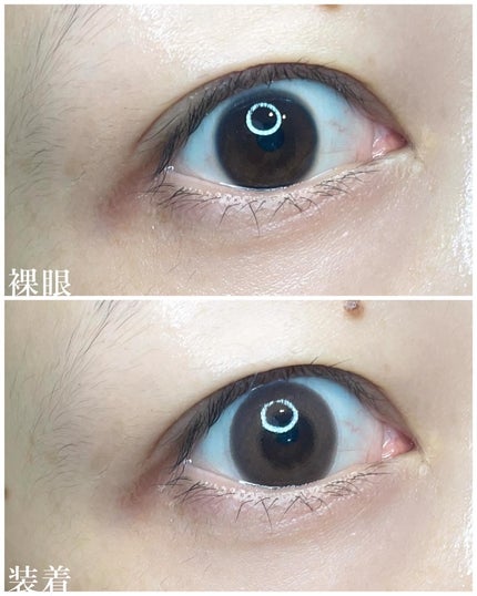 U.P.D. 1day シロップブラウン/U.P.D./ワンデー(1DAY)カラコンを使ったクチコミ(3枚目)