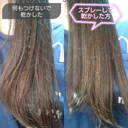 モイスチャーライジング&リペアブースター 導入液ヘアミスト ボトル 250ml/エイトザタラソ/ヘアミストを使ったクチコミ(3枚目)
