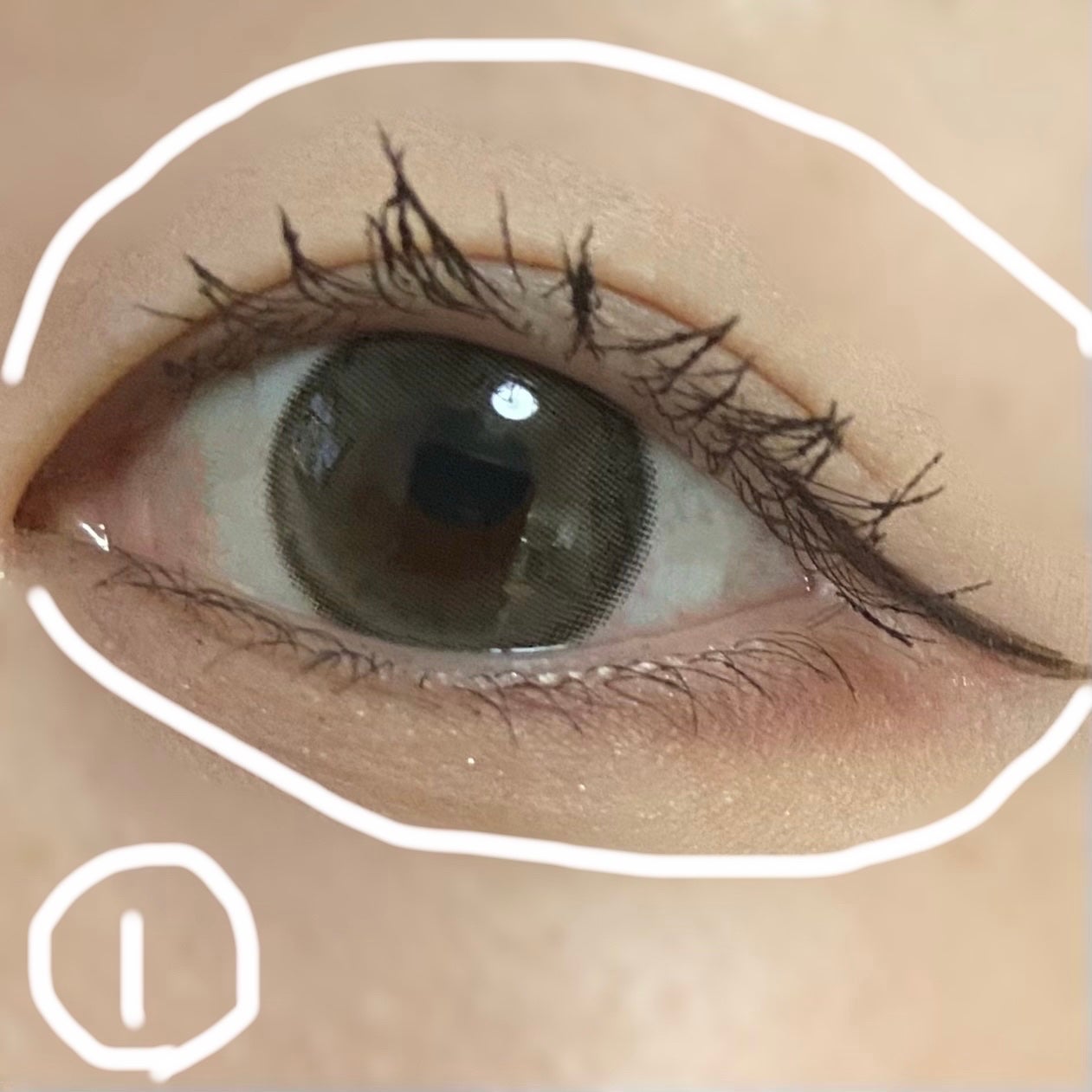 ショコラスウィート アイズ ソフトマット/リンメル ロンドン/アイシャドウパレットを使ったクチコミ(2枚目)