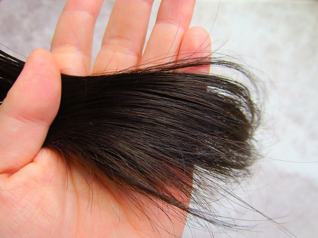 フィーノ プレミアムタッチ 濃厚美容液ヘアオイル/フィーノ/ヘアオイルを使ったクチコミ(5枚目)