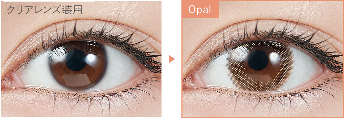 TOPARDS 1day オパール